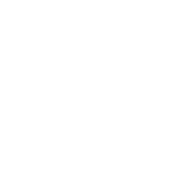 The Florence Academy of Art logo